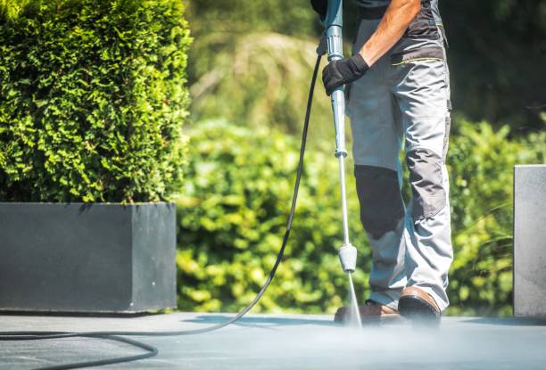 Best Winterizing Services  in Union Park, FL