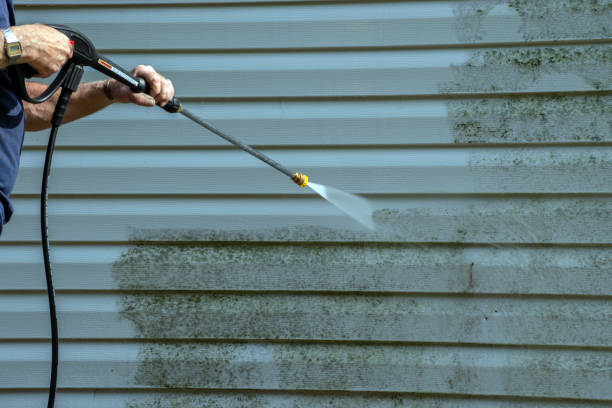 Best Sidewalk and Walkway Cleaning  in Union Park, FL