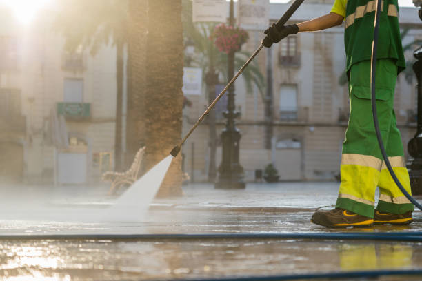 Pre-Holiday Cleaning in Union Park, FL